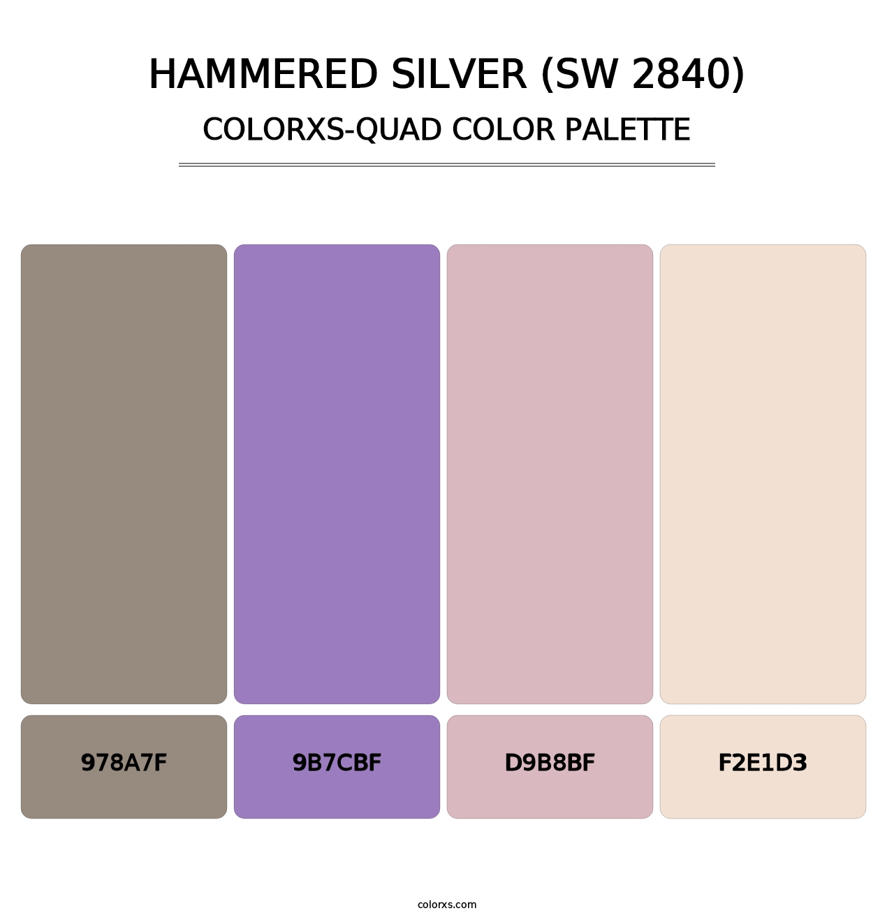 Hammered Silver (SW 2840) - Colorxs Quad Palette
