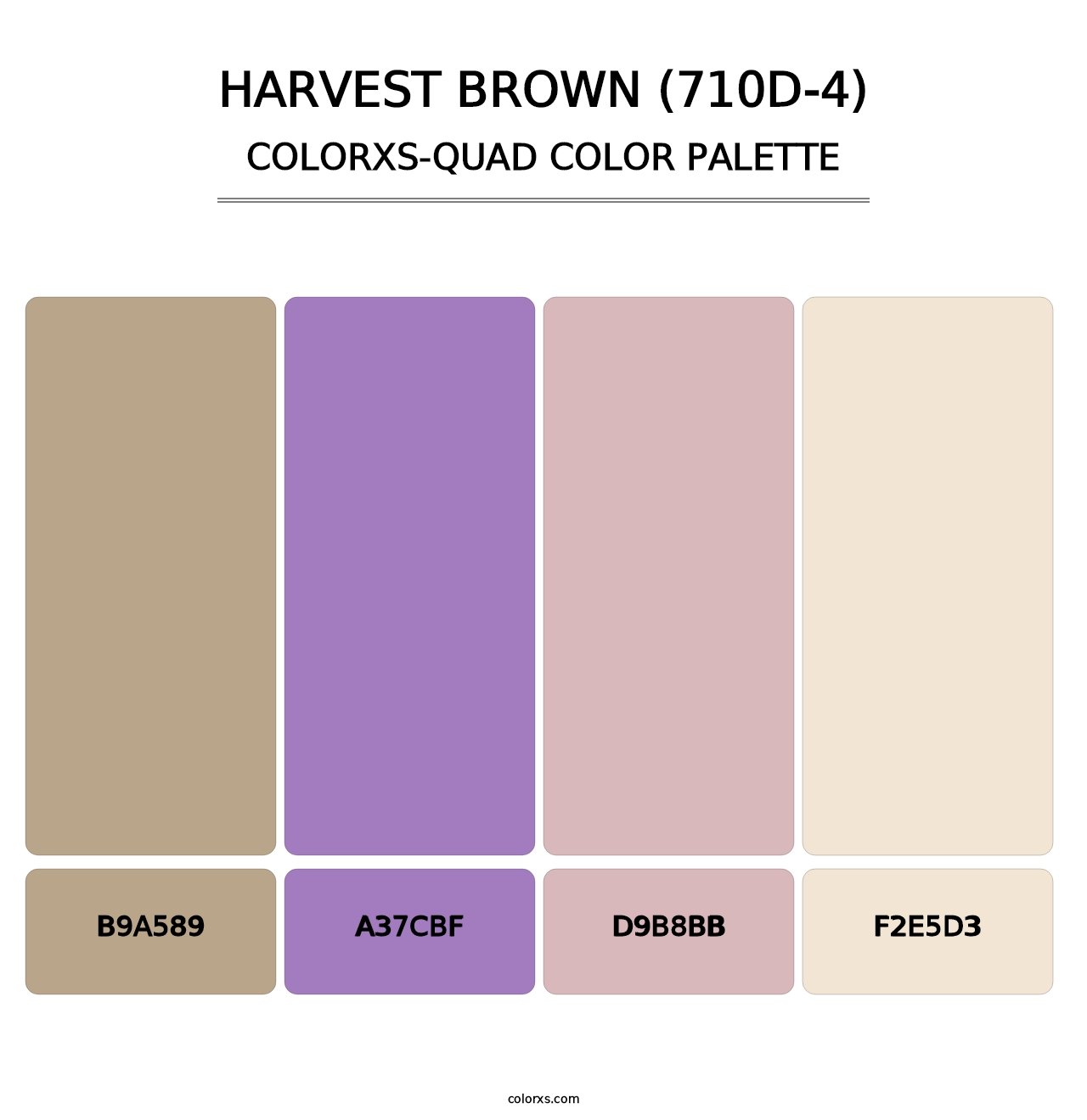 Harvest Brown (710D-4) - Colorxs Quad Palette