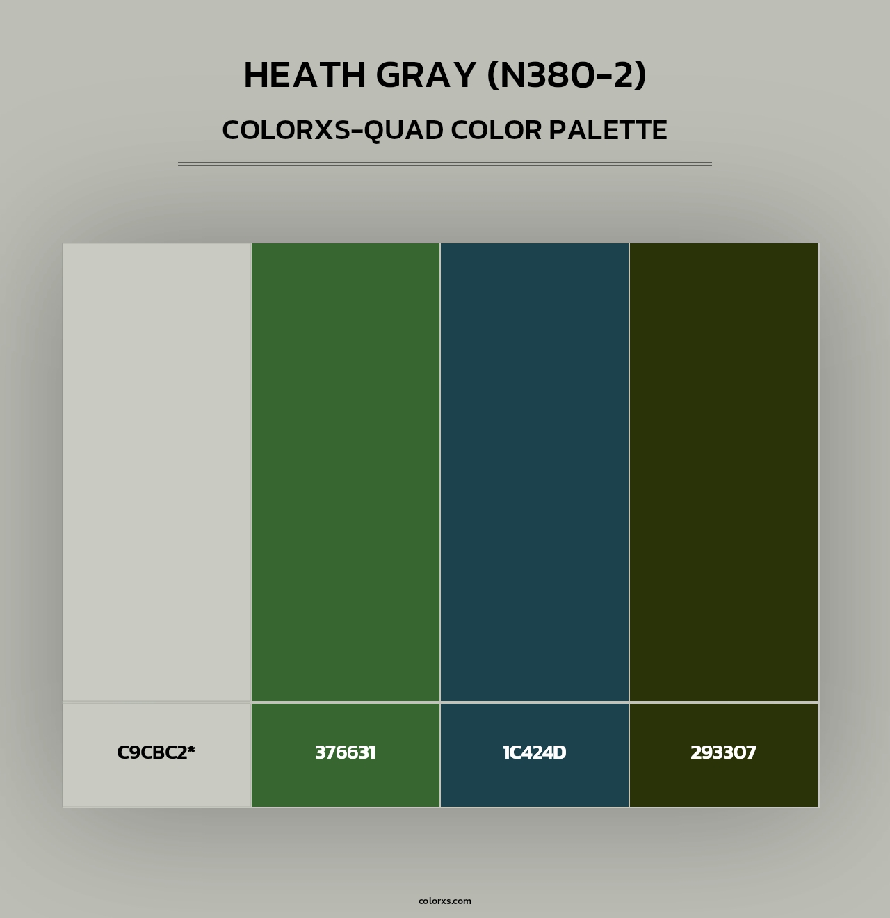 Heath Gray (N380-2) - Colorxs Quad Palette