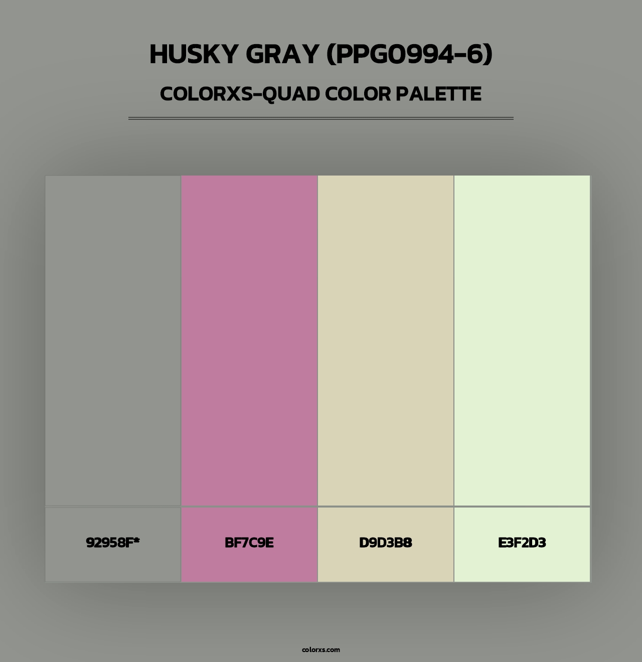 Husky Gray (PPG0994-6) - Colorxs Quad Palette