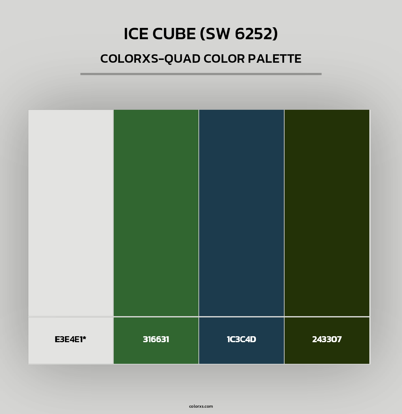 Ice Cube (SW 6252) - Colorxs Quad Palette