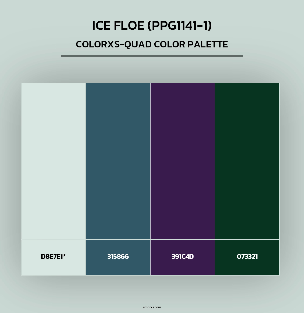 Ice Floe (PPG1141-1) - Colorxs Quad Palette