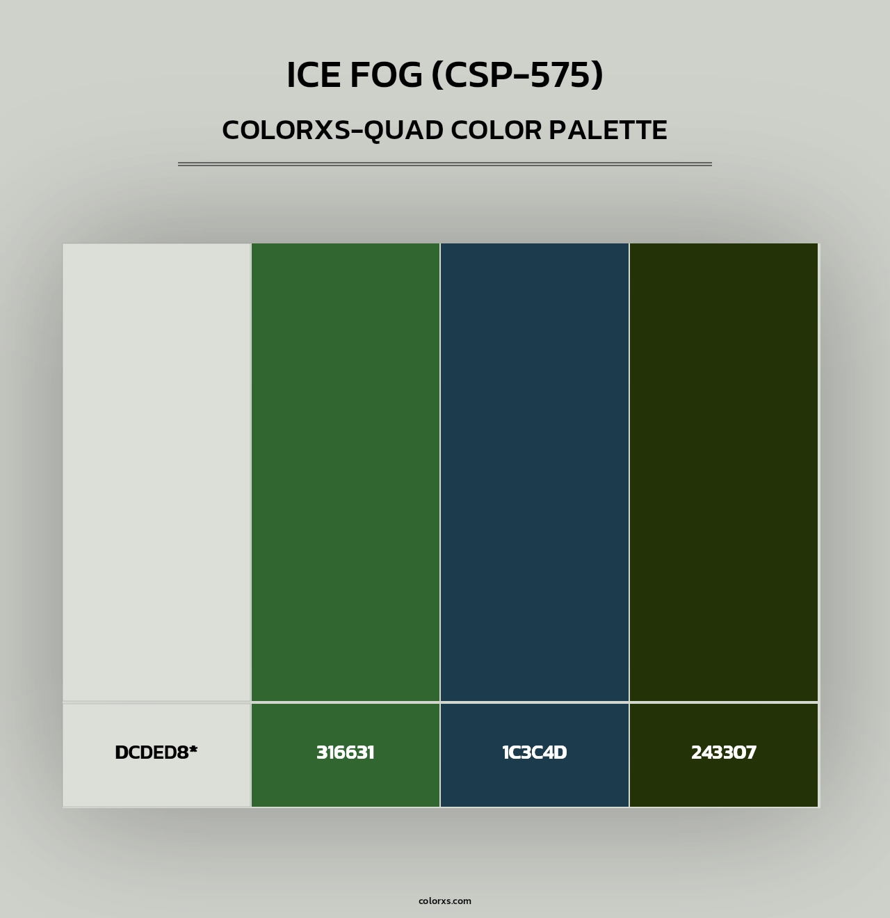 Ice Fog (CSP-575) - Colorxs Quad Palette