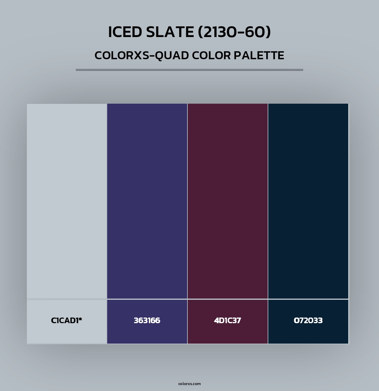 Iced Slate (2130-60) - Colorxs Quad Palette