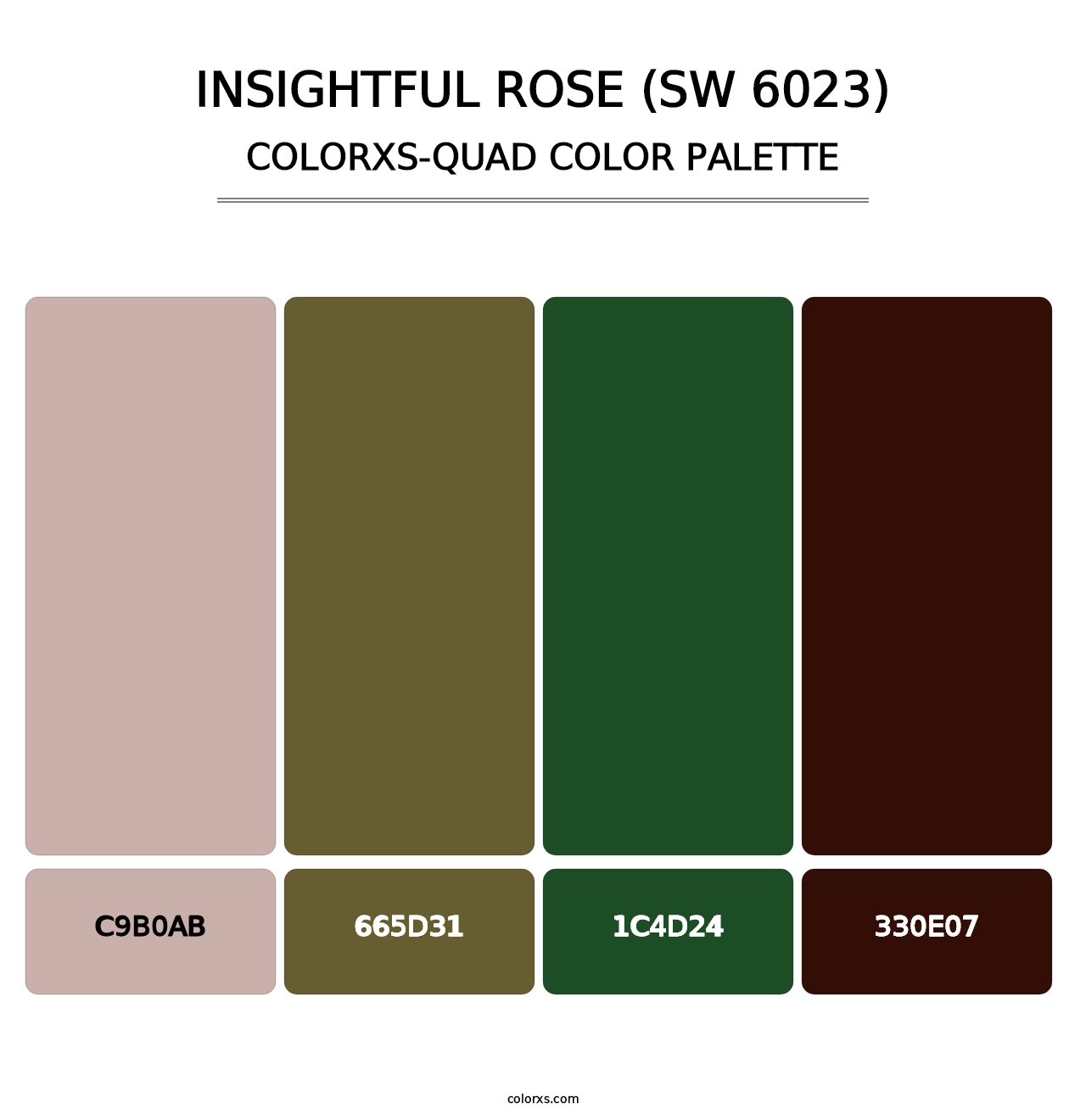 Insightful Rose (SW 6023) - Colorxs Quad Palette
