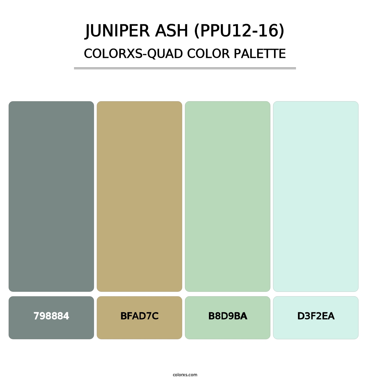 Juniper Ash (PPU12-16) - Colorxs Quad Palette