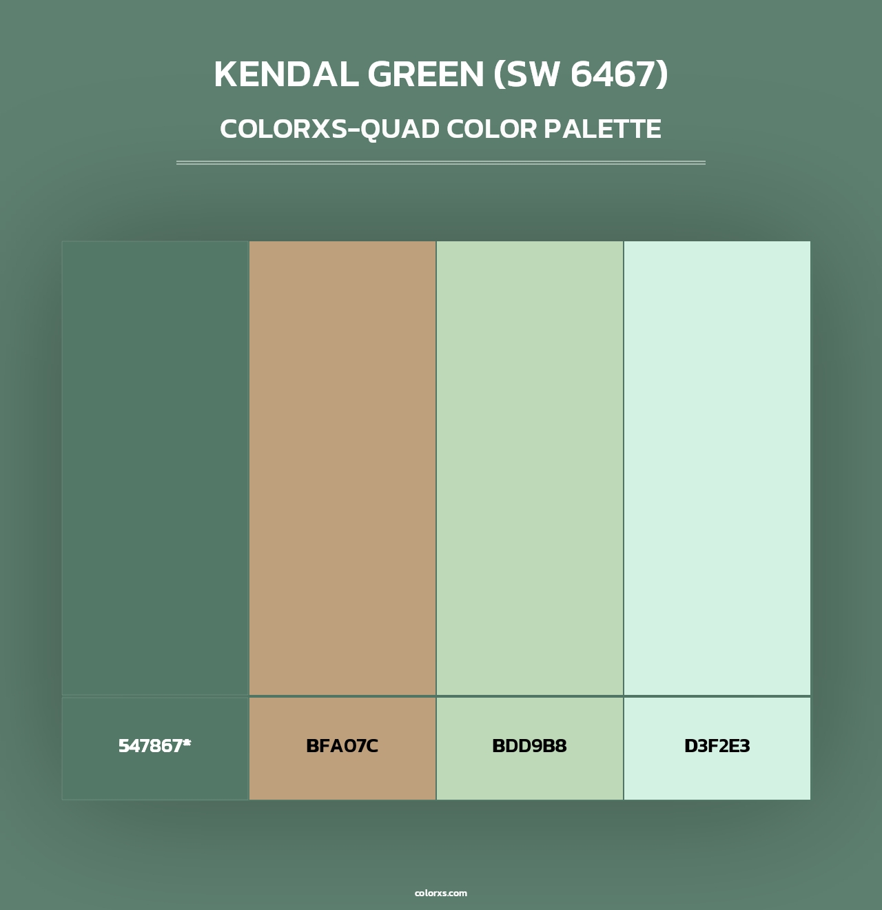 Kendal Green (SW 6467) - Colorxs Quad Palette