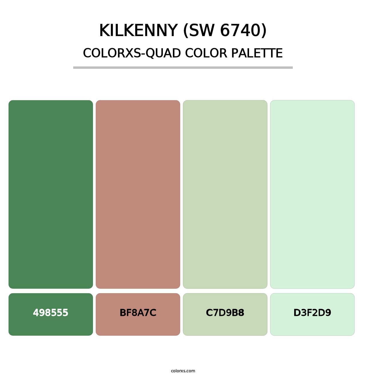 Kilkenny (SW 6740) - Colorxs Quad Palette