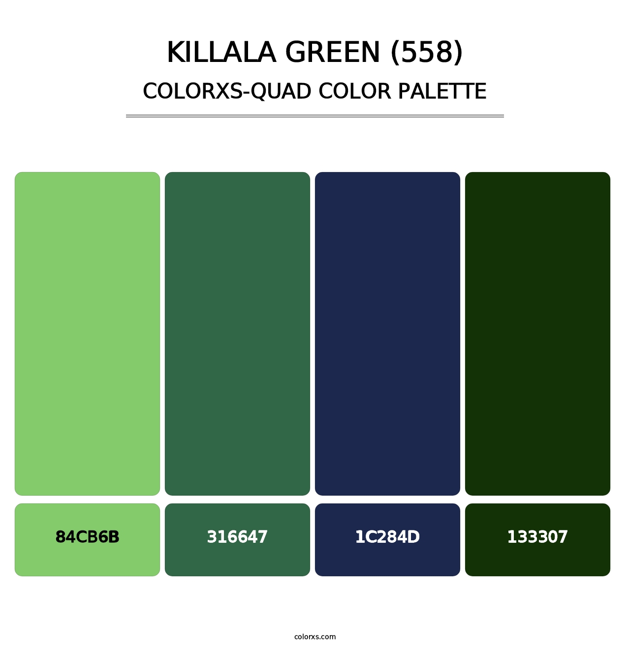 Killala Green (558) - Colorxs Quad Palette