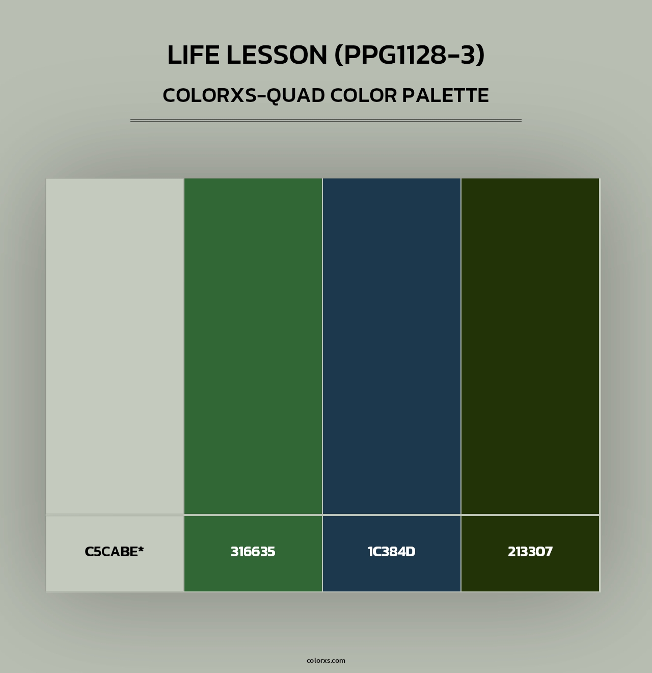 Life Lesson (PPG1128-3) - Colorxs Quad Palette