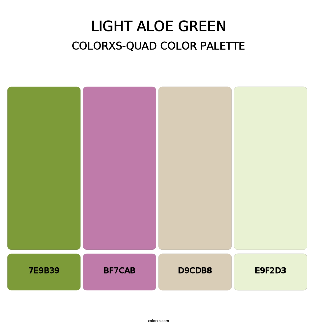 Light Aloe Green - Colorxs Quad Palette