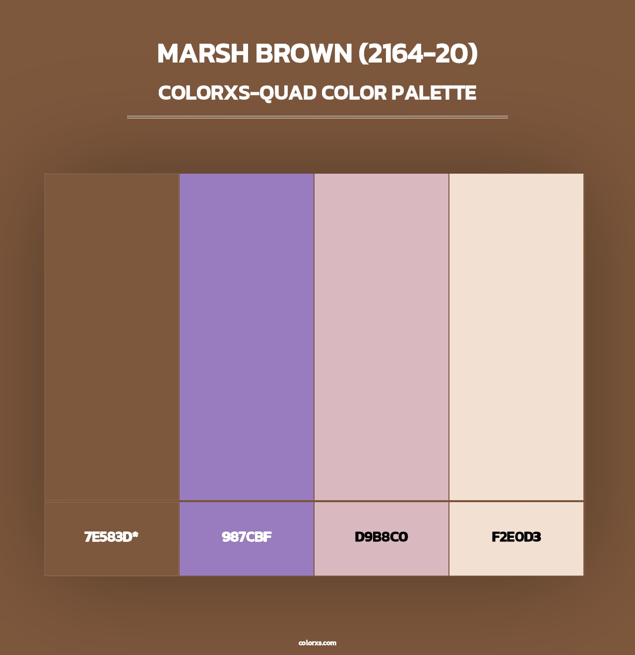 Marsh Brown (2164-20) - Colorxs Quad Palette