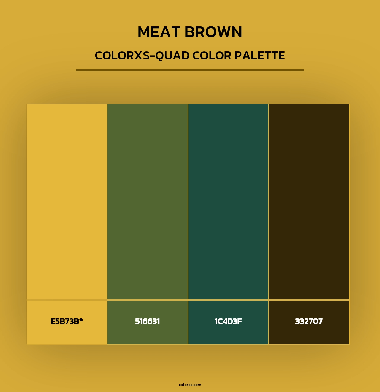 Meat brown - Colorxs Quad Palette