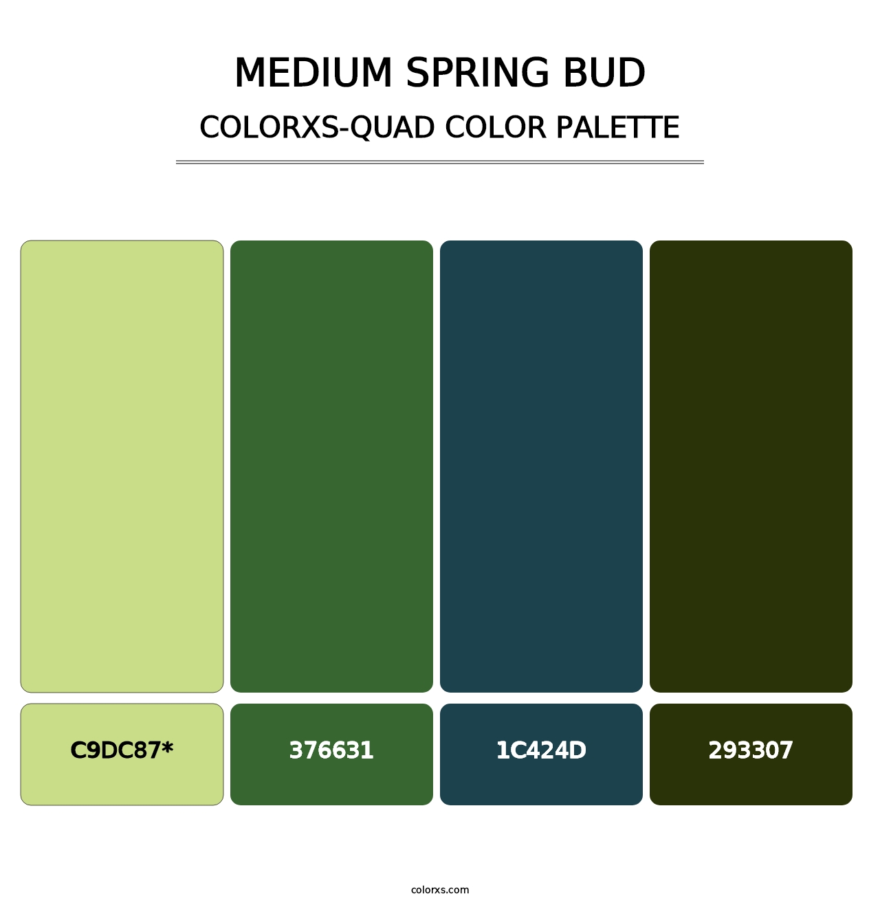 Medium Spring Bud - Colorxs Quad Palette