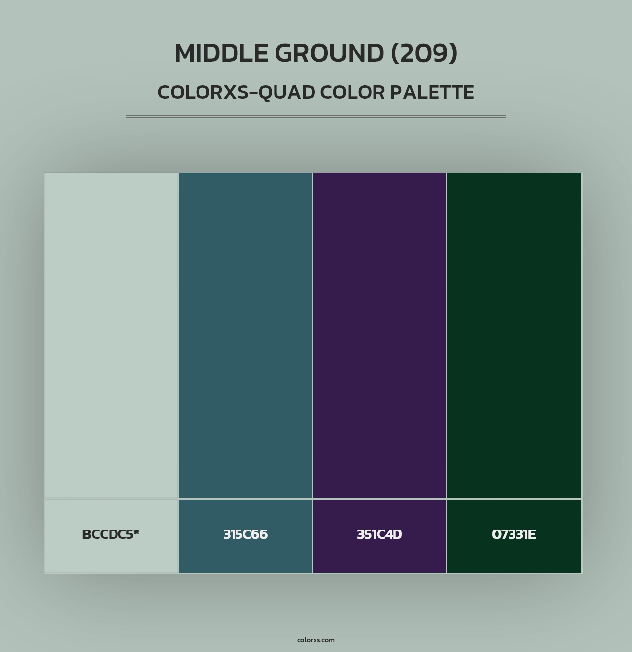 Middle Ground (209) - Colorxs Quad Palette