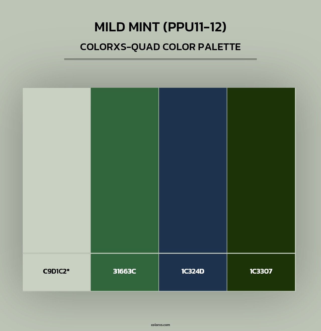 Mild Mint (PPU11-12) - Colorxs Quad Palette