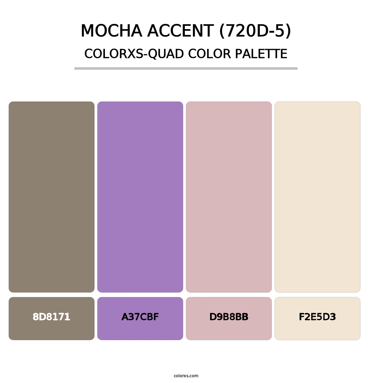 Mocha Accent (720D-5) - Colorxs Quad Palette