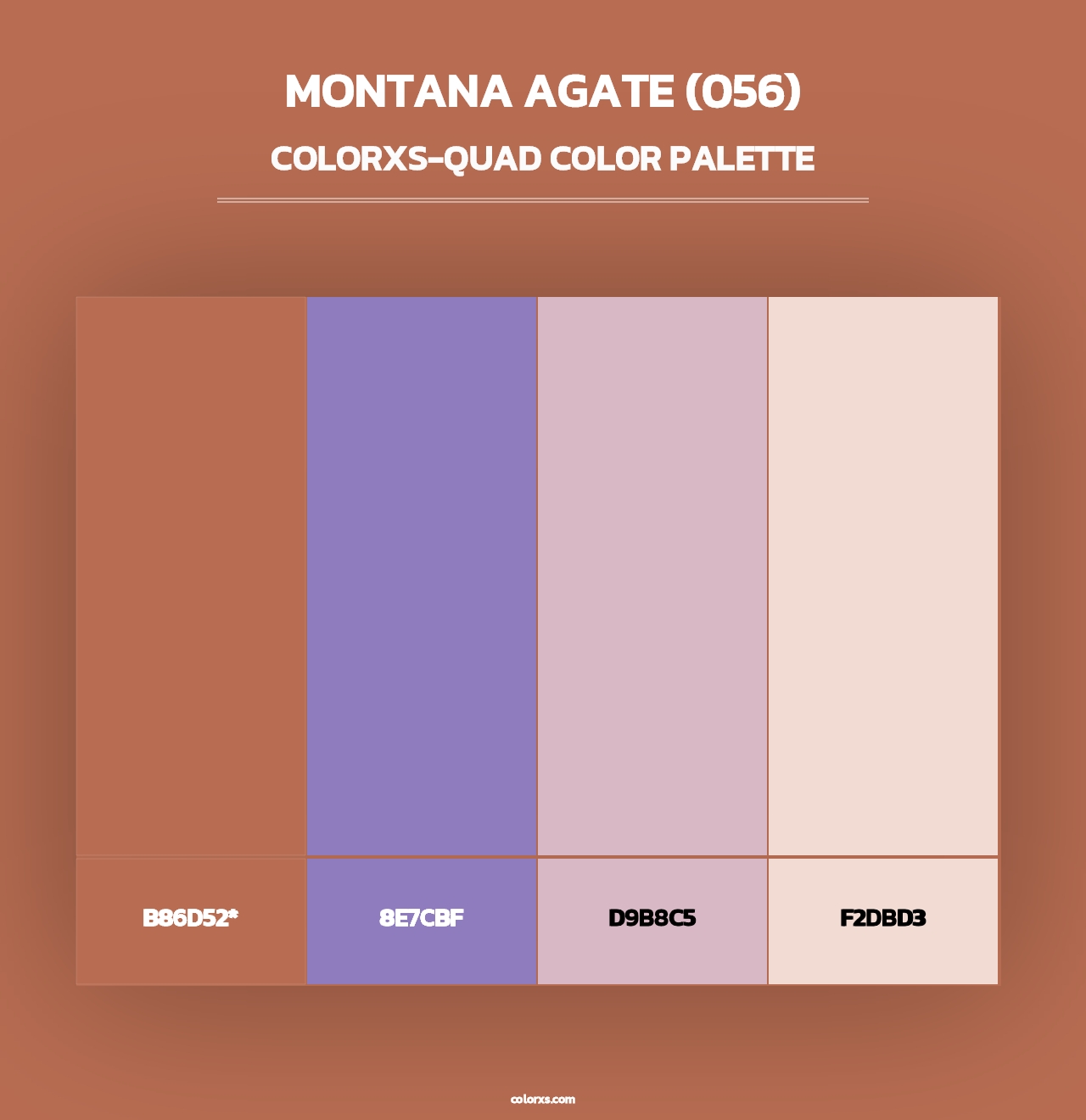 Montana Agate (056) - Colorxs Quad Palette