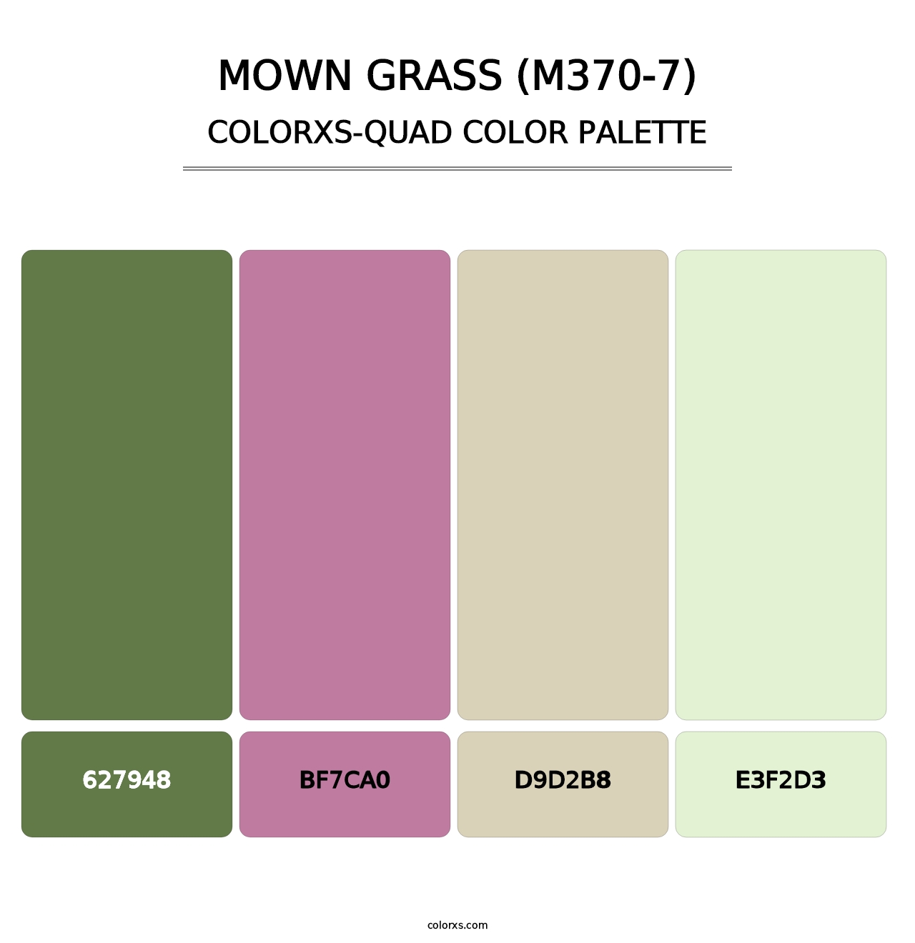 Mown Grass (M370-7) - Colorxs Quad Palette