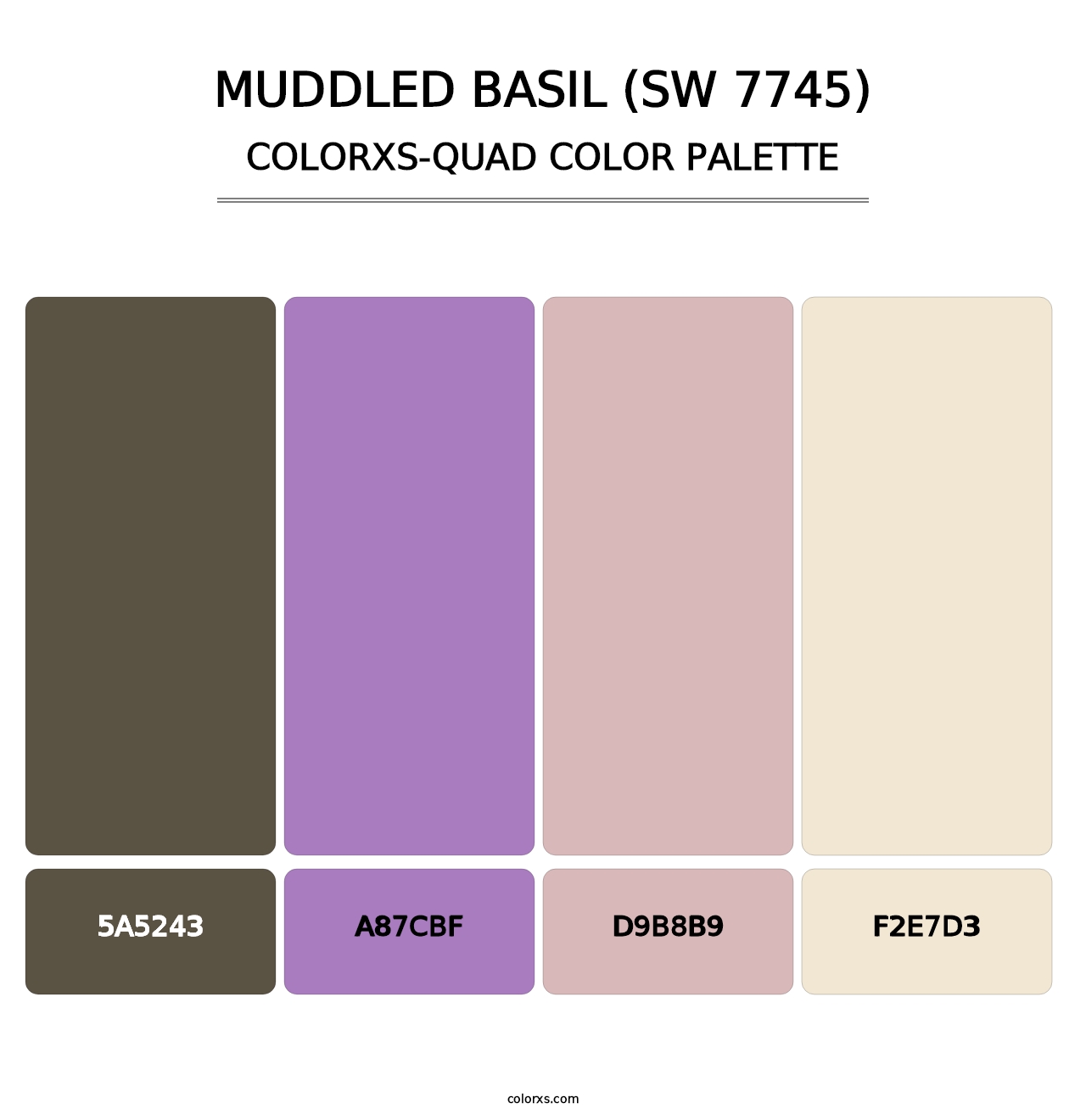 Muddled Basil (SW 7745) - Colorxs Quad Palette
