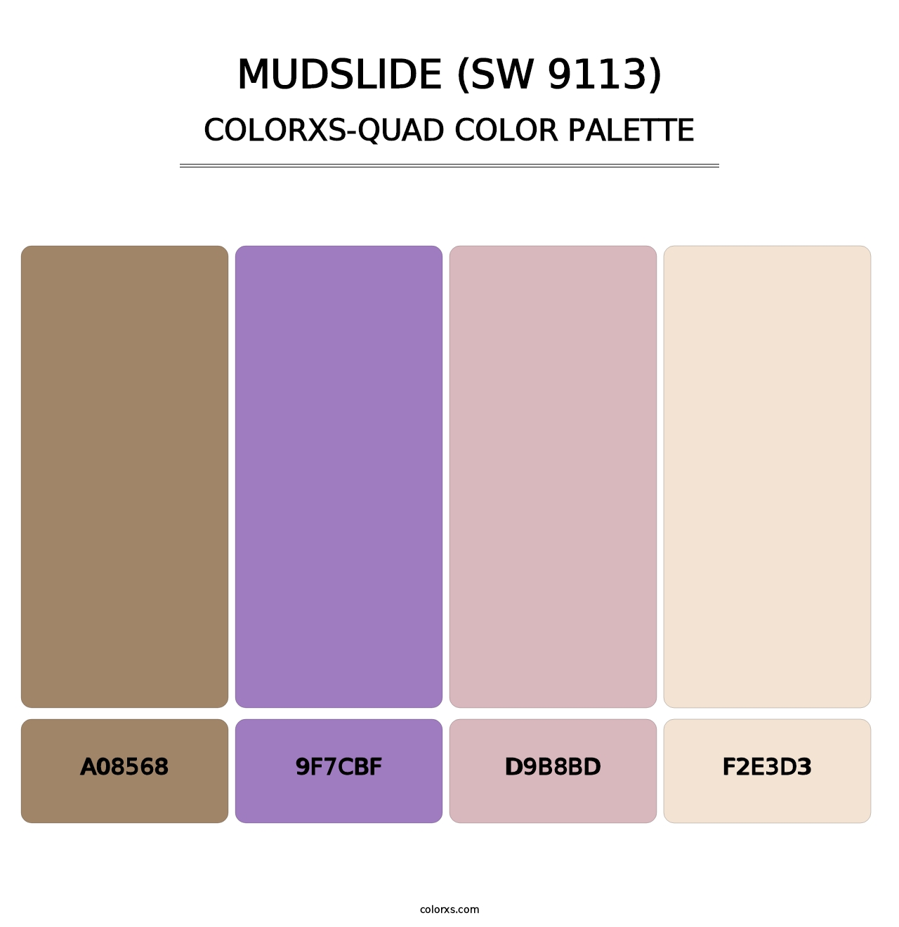 Mudslide (SW 9113) - Colorxs Quad Palette