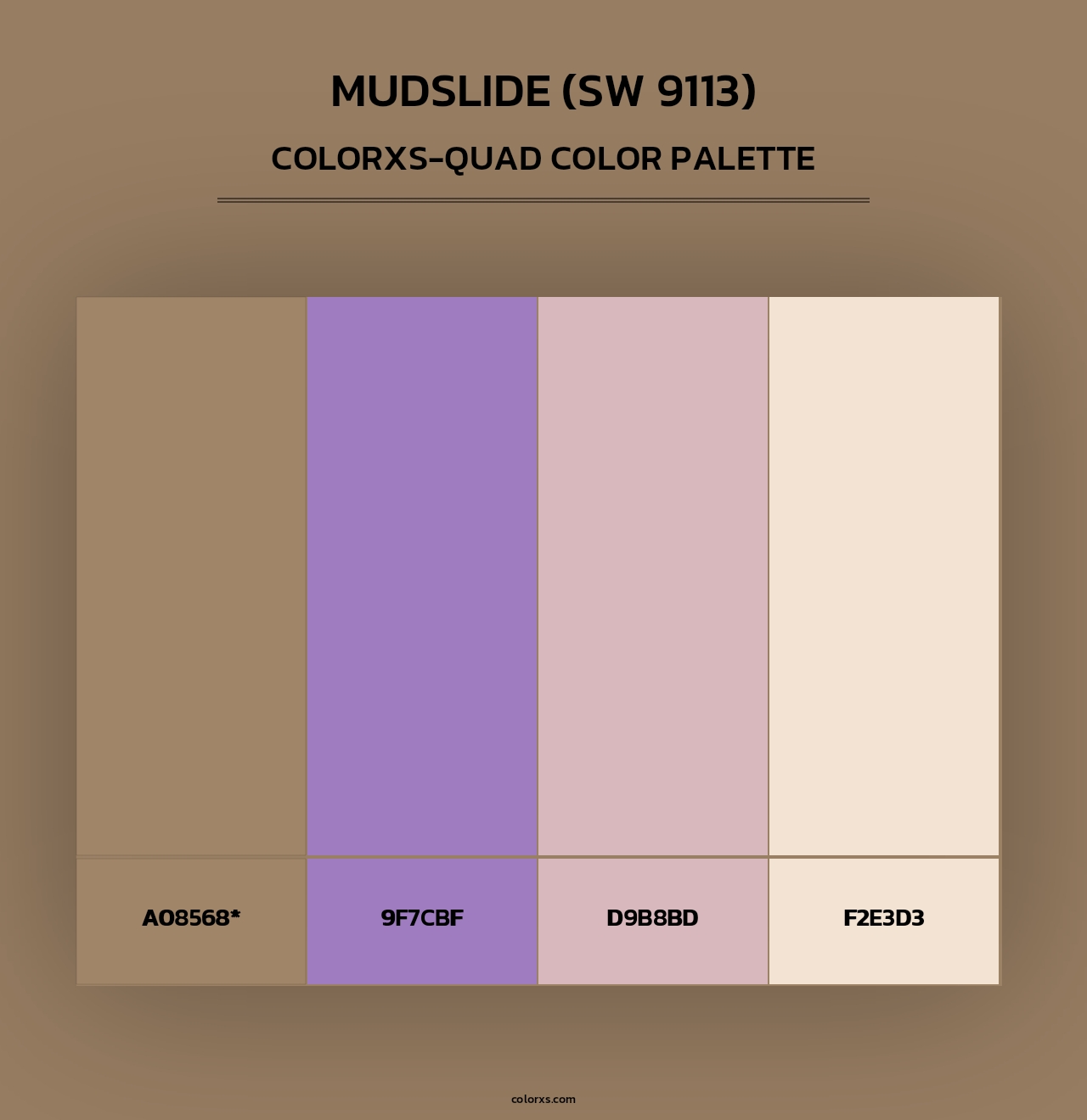 Mudslide (SW 9113) - Colorxs Quad Palette