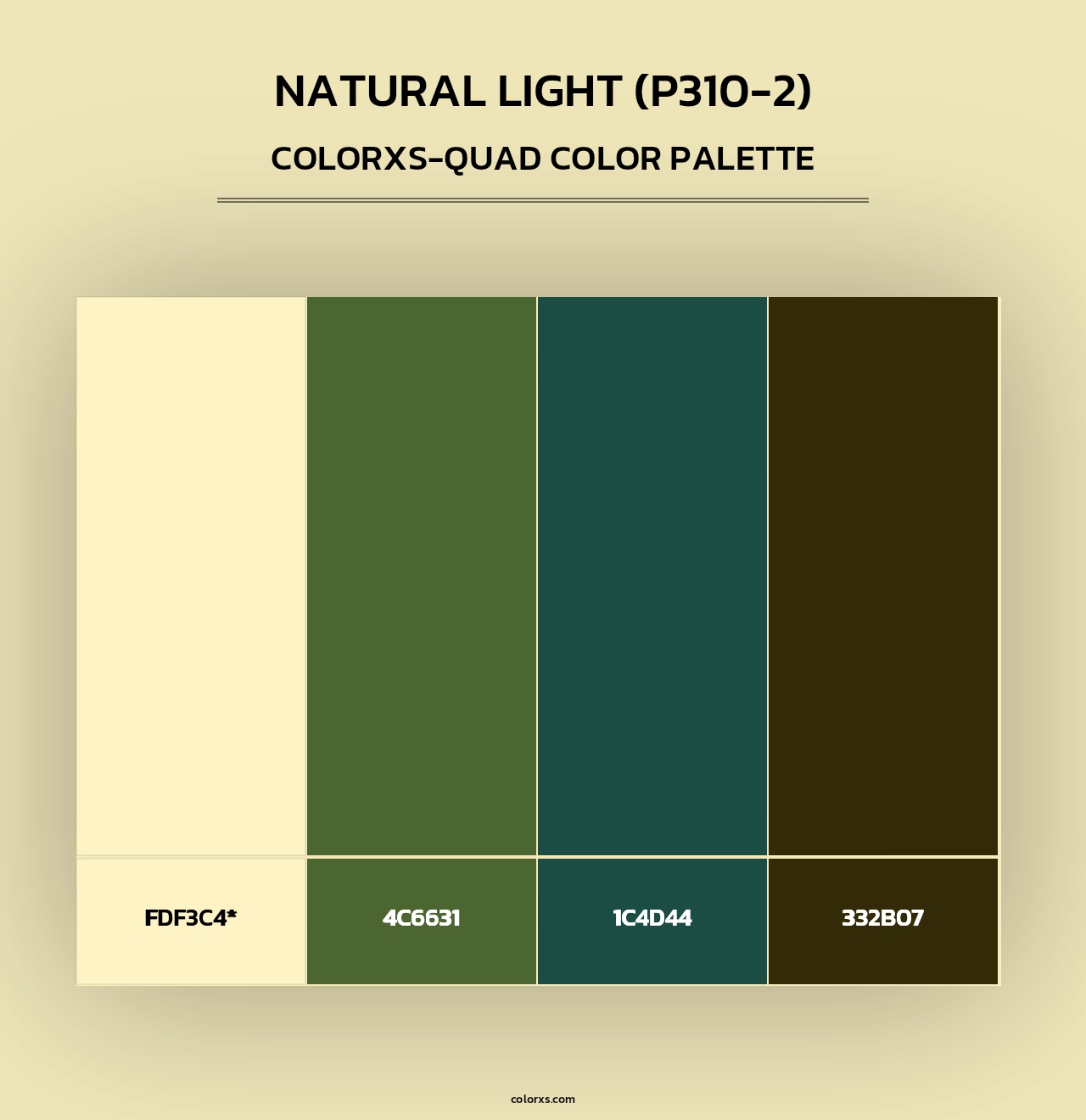 Natural Light (P310-2) - Colorxs Quad Palette