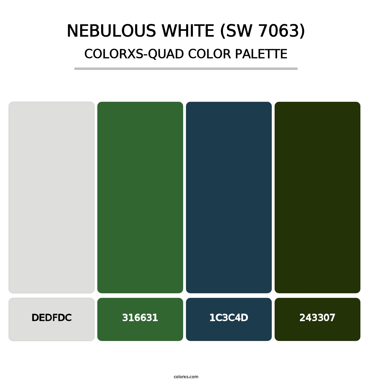 Nebulous White (SW 7063) - Colorxs Quad Palette