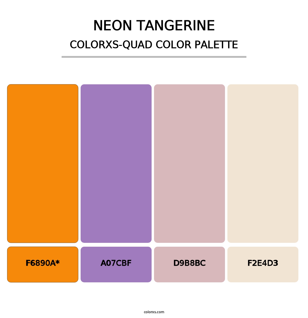 Neon Tangerine - Colorxs Quad Palette
