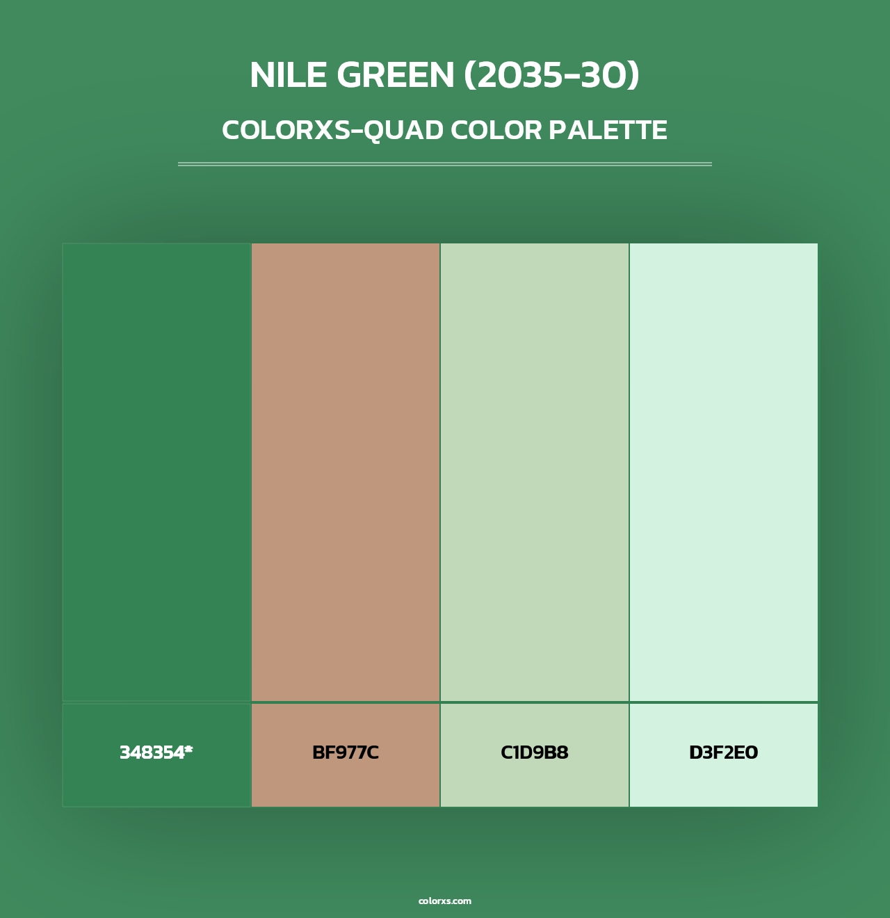 Nile Green (2035-30) - Colorxs Quad Palette