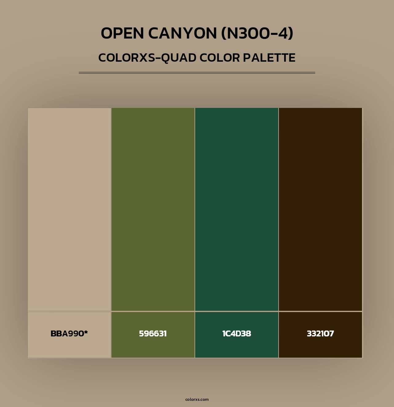 Open Canyon (N300-4) - Colorxs Quad Palette