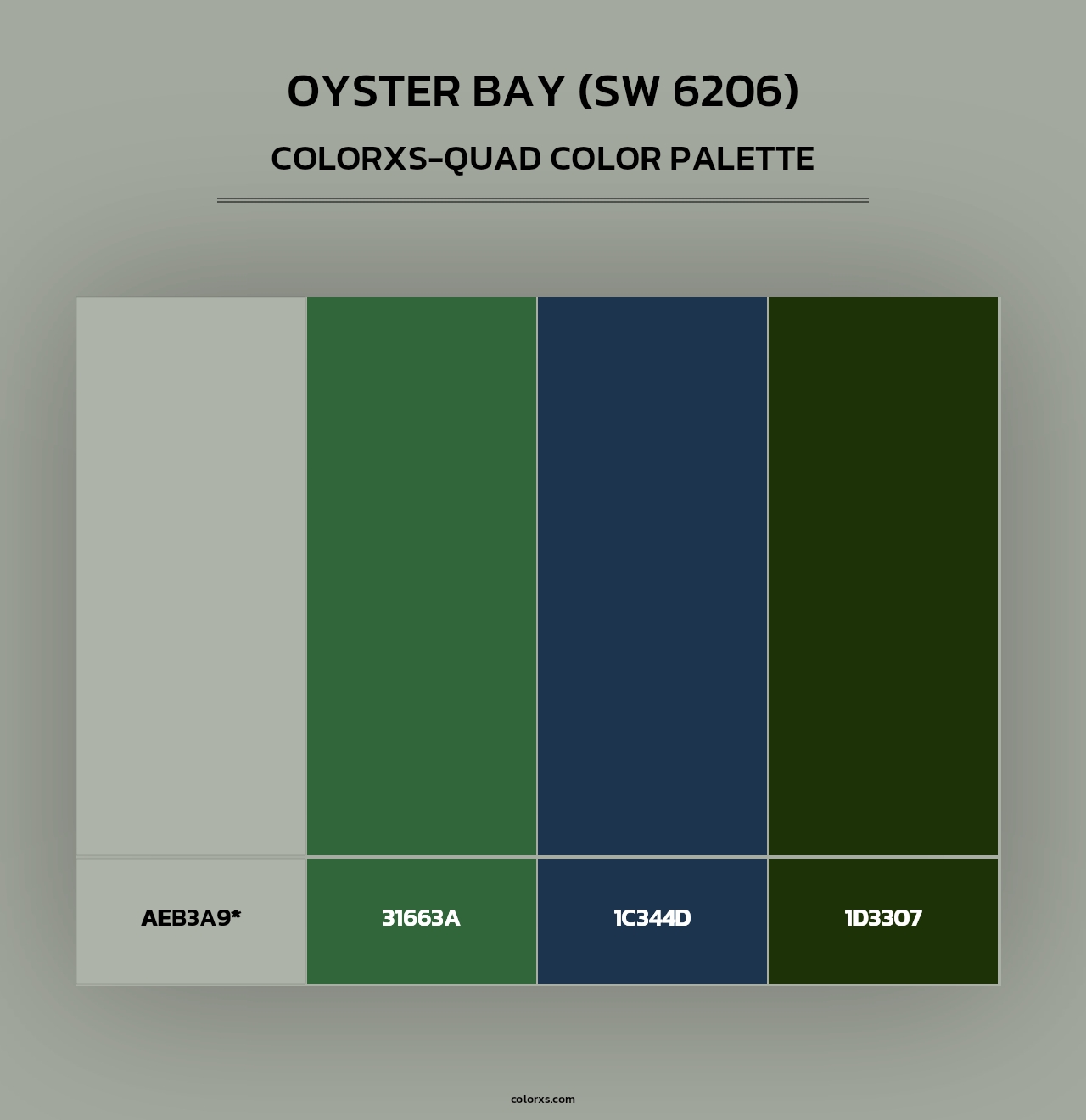 Oyster Bay (SW 6206) - Colorxs Quad Palette