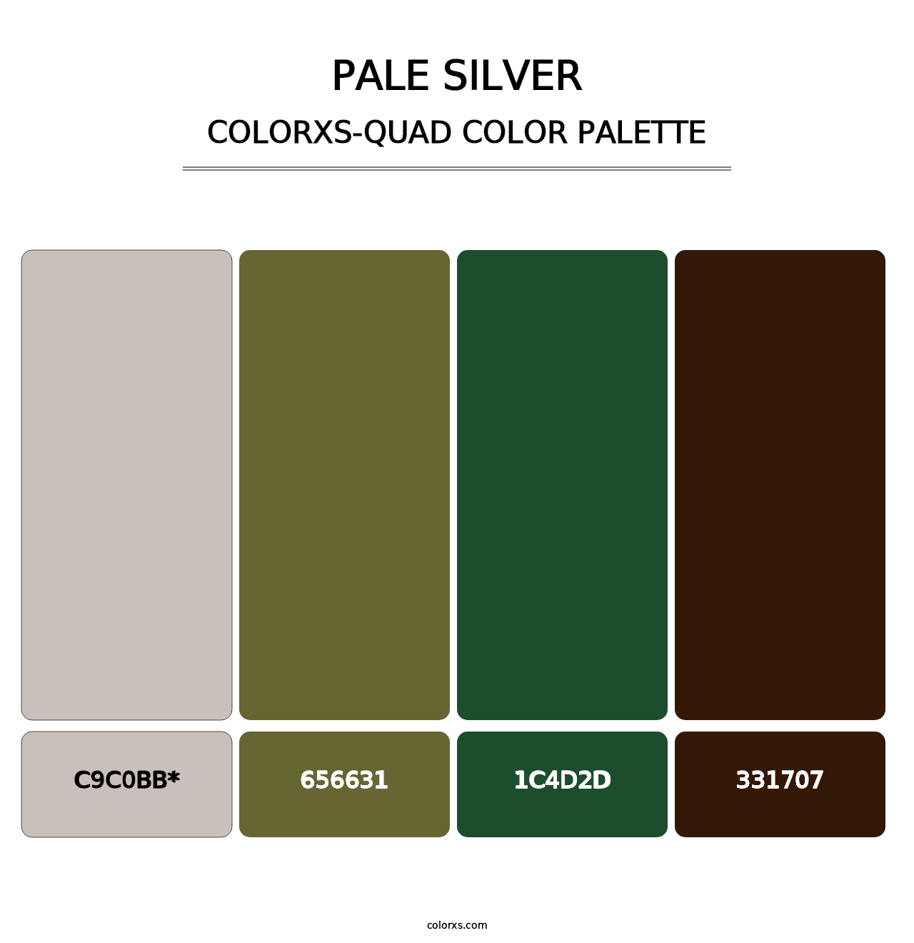 Pale Silver - Colorxs Quad Palette