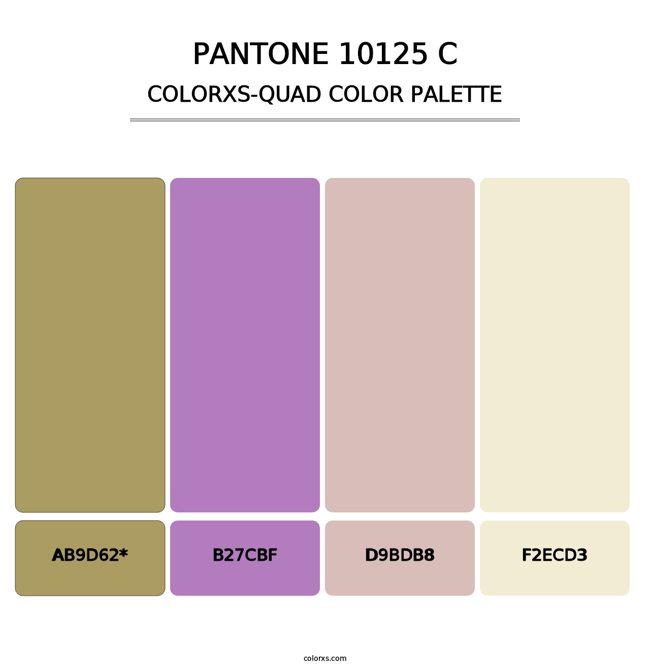 PANTONE 10125 C - Colorxs Quad Palette