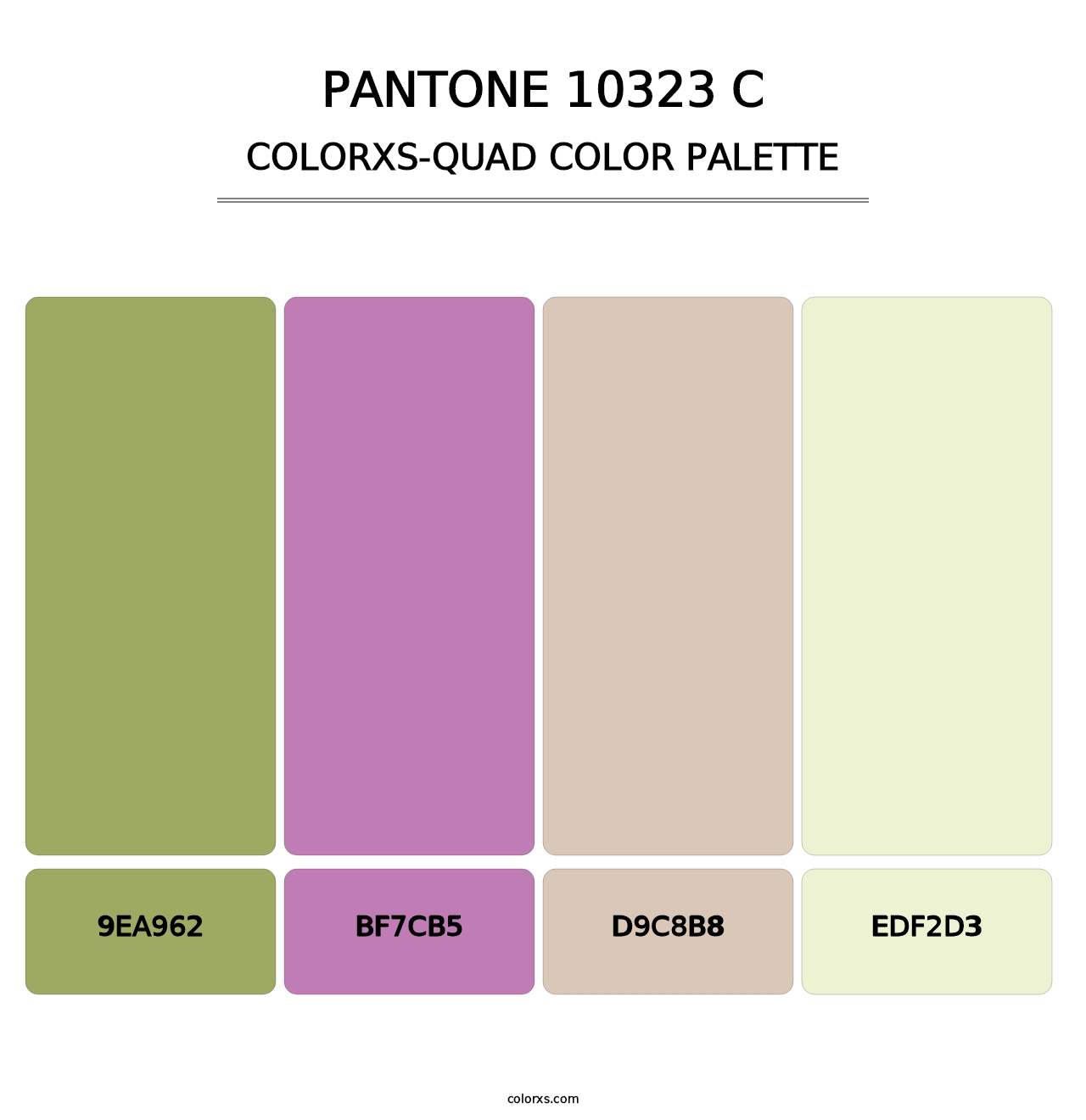 PANTONE 10323 C - Colorxs Quad Palette