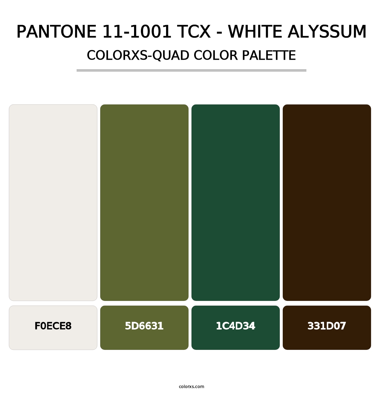 PANTONE 11-1001 TCX - White Alyssum - Colorxs Quad Palette