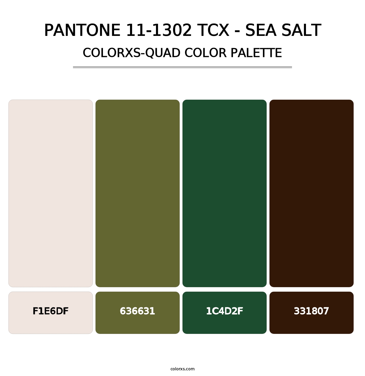 PANTONE 11-1302 TCX - Sea Salt - Colorxs Quad Palette