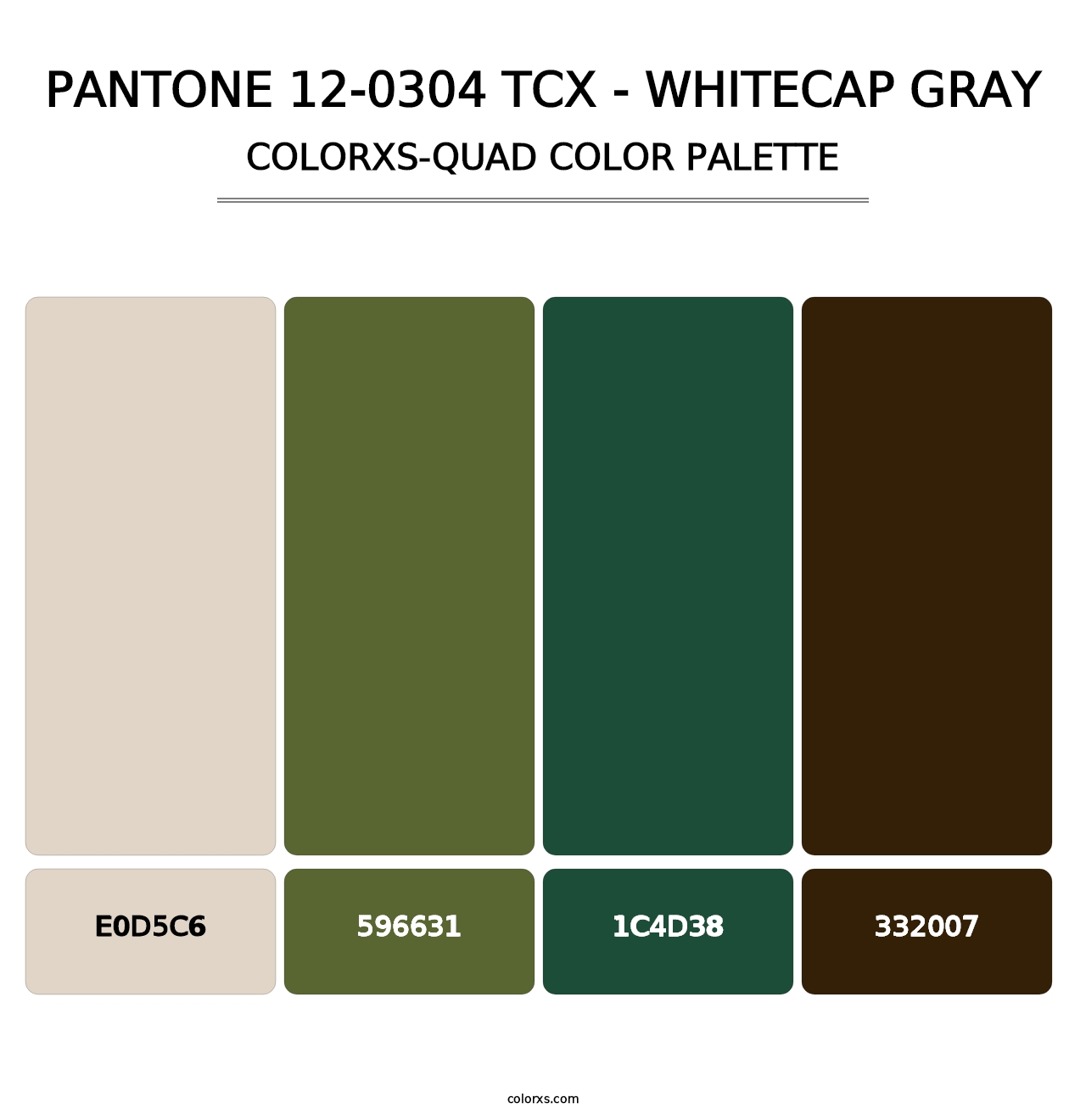 PANTONE 12-0304 TCX - Whitecap Gray - Colorxs Quad Palette