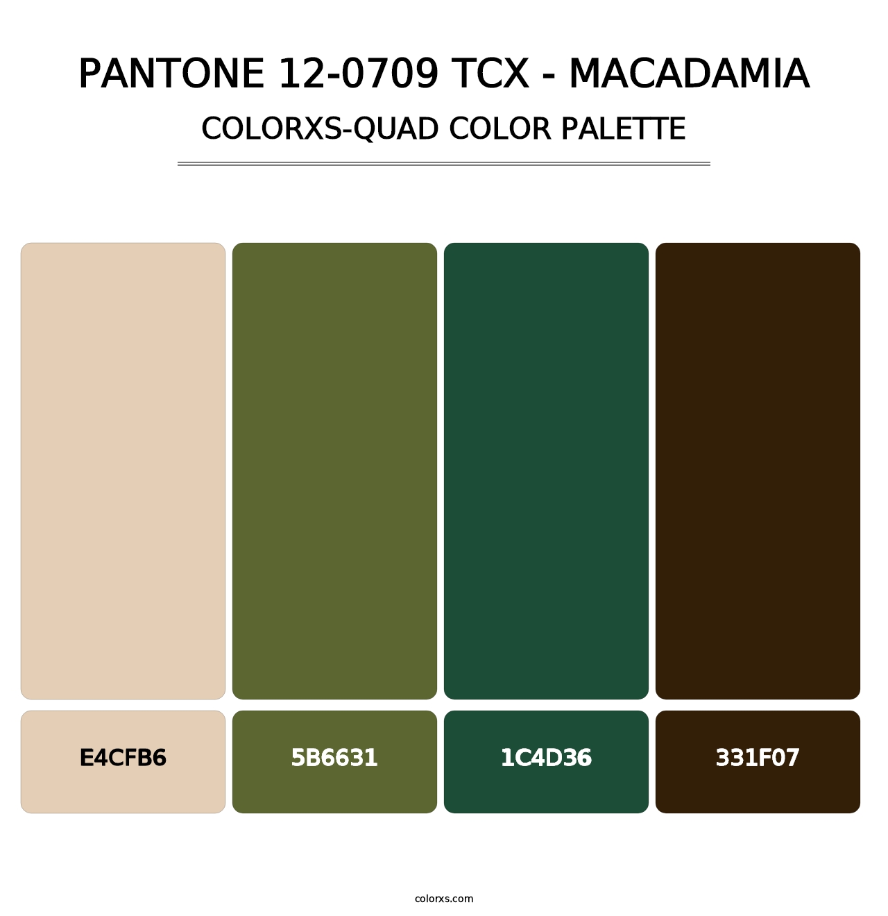 PANTONE 12-0709 TCX - Macadamia - Colorxs Quad Palette