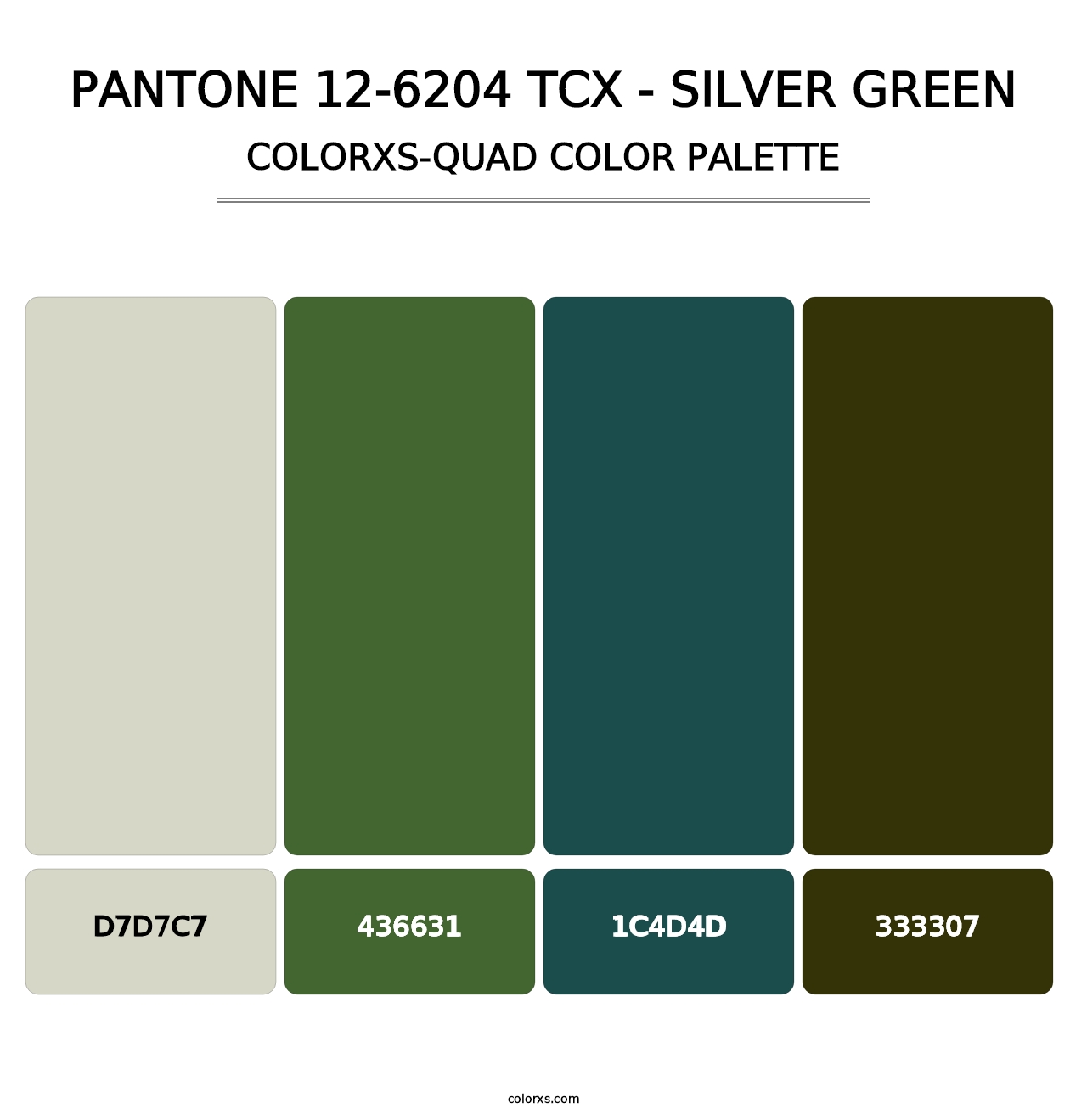 PANTONE 12-6204 TCX - Silver Green - Colorxs Quad Palette