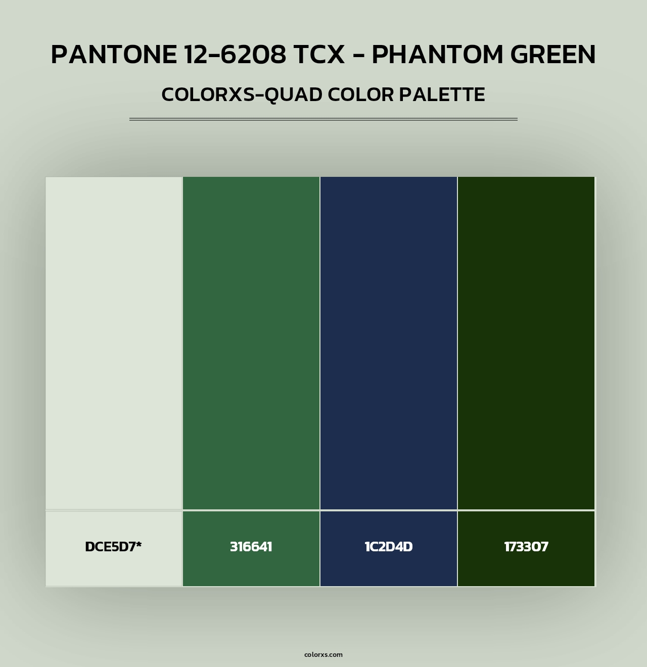 PANTONE 12-6208 TCX - Phantom Green - Colorxs Quad Palette