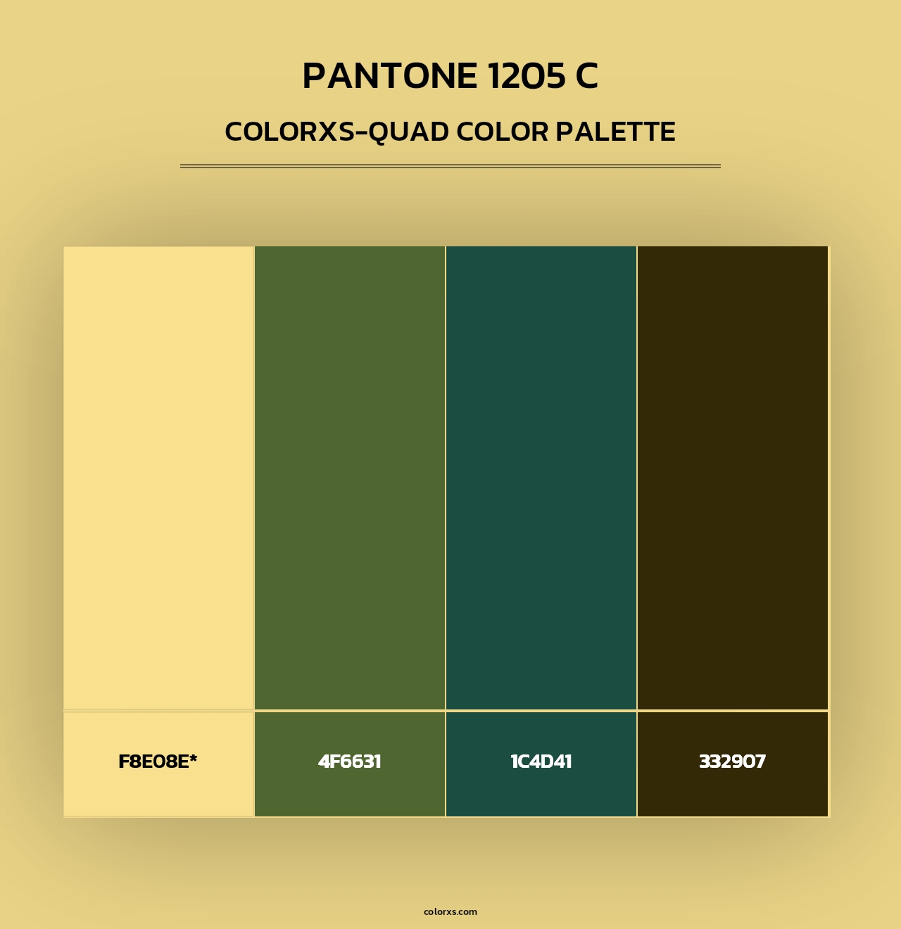 PANTONE 1205 C - Colorxs Quad Palette