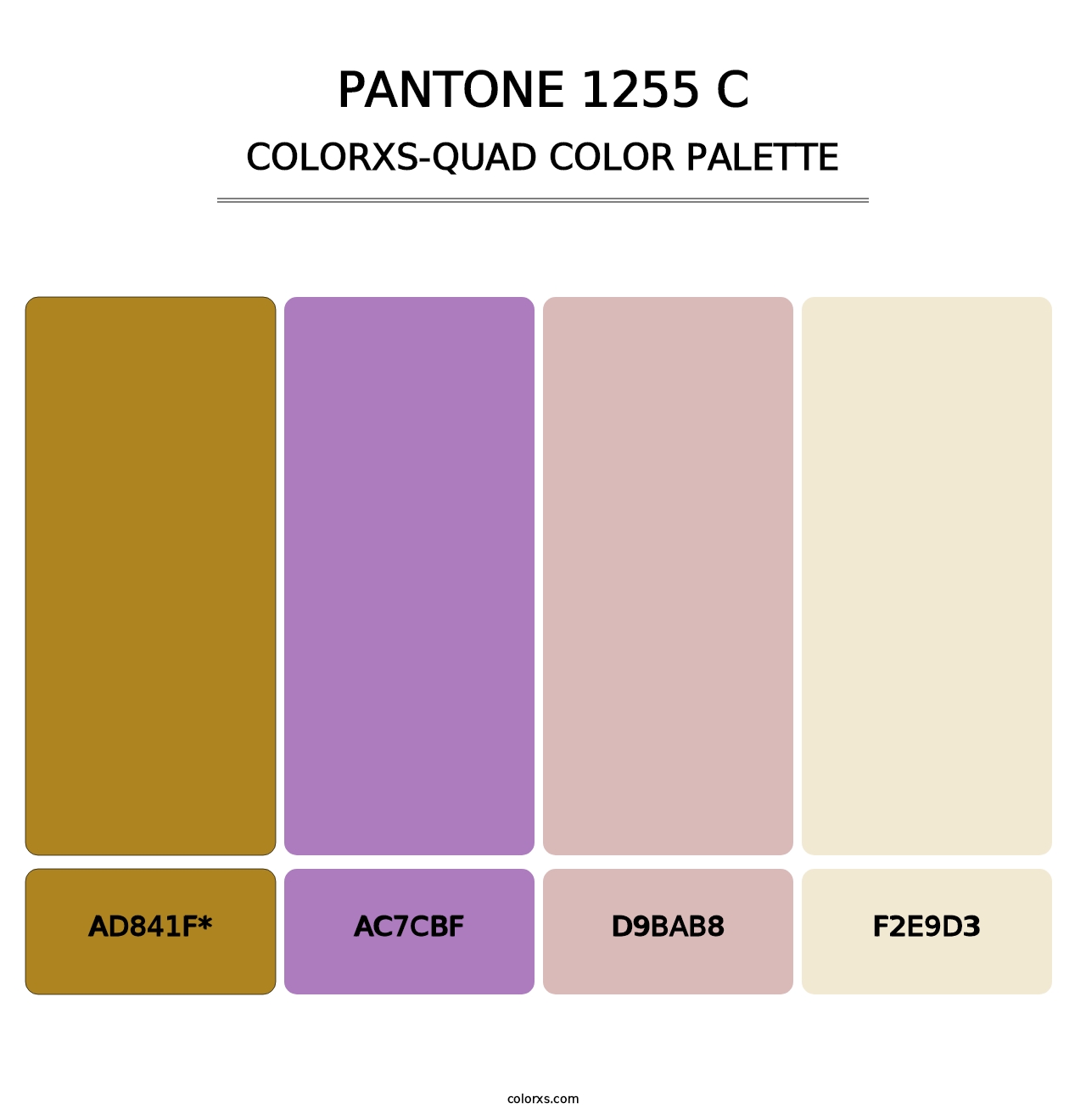 PANTONE 1255 C - Colorxs Quad Palette