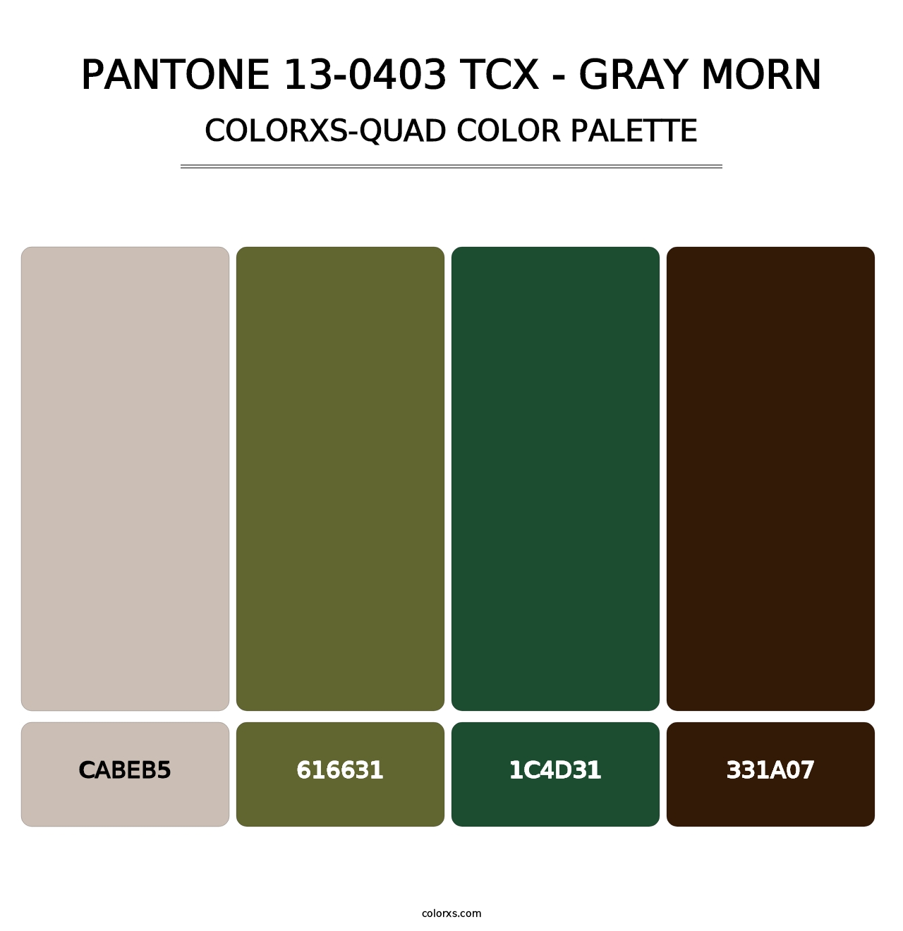 PANTONE 13-0403 TCX - Gray Morn - Colorxs Quad Palette
