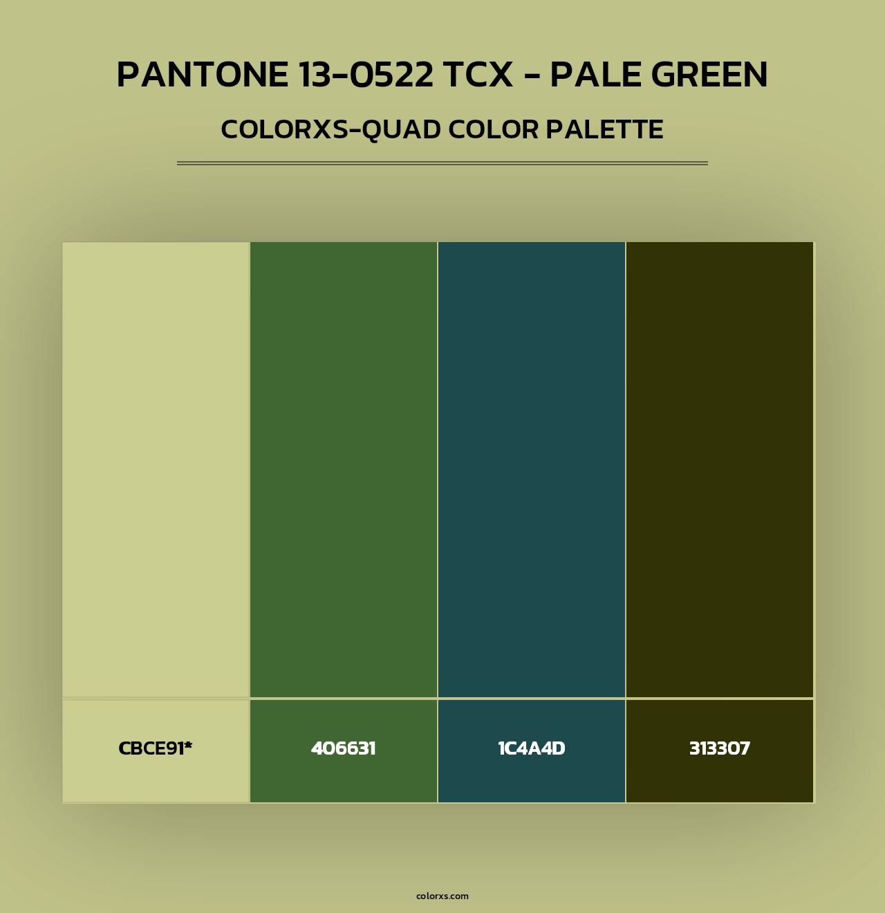 PANTONE 13-0522 TCX - Pale Green - Colorxs Quad Palette