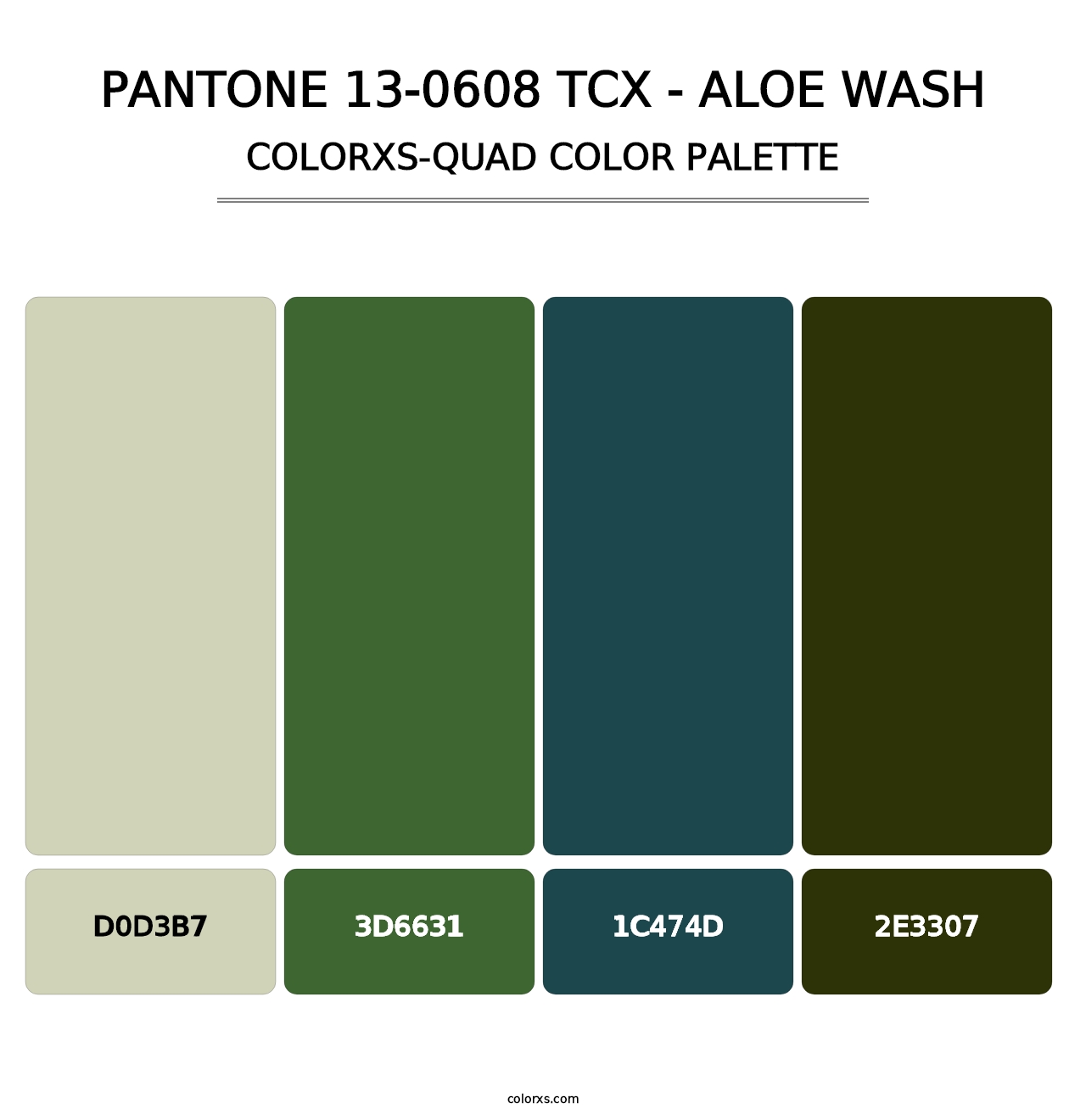 PANTONE 13-0608 TCX - Aloe Wash - Colorxs Quad Palette