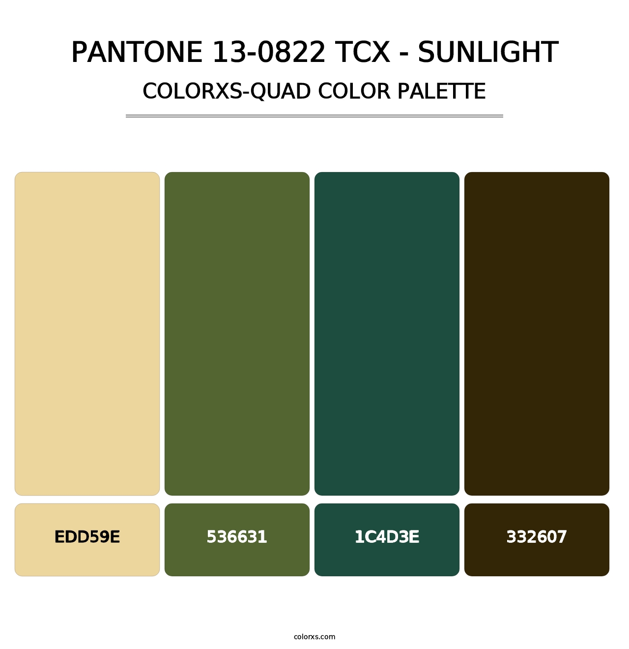 PANTONE 13-0822 TCX - Sunlight - Colorxs Quad Palette