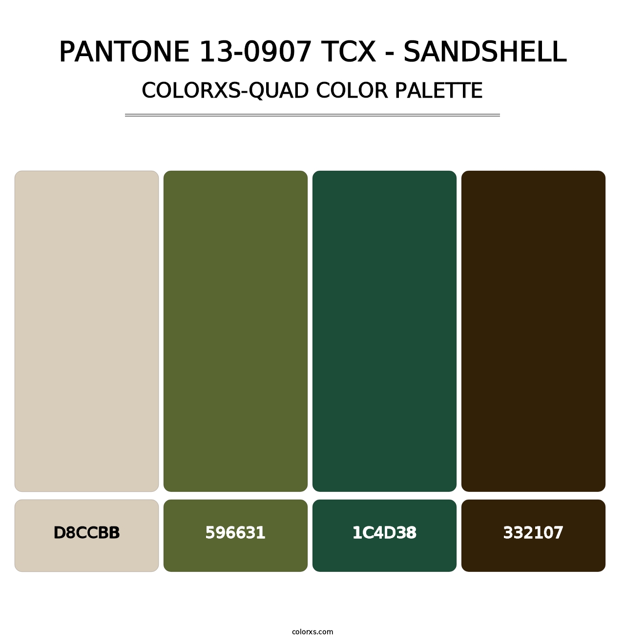 PANTONE 13-0907 TCX - Sandshell - Colorxs Quad Palette
