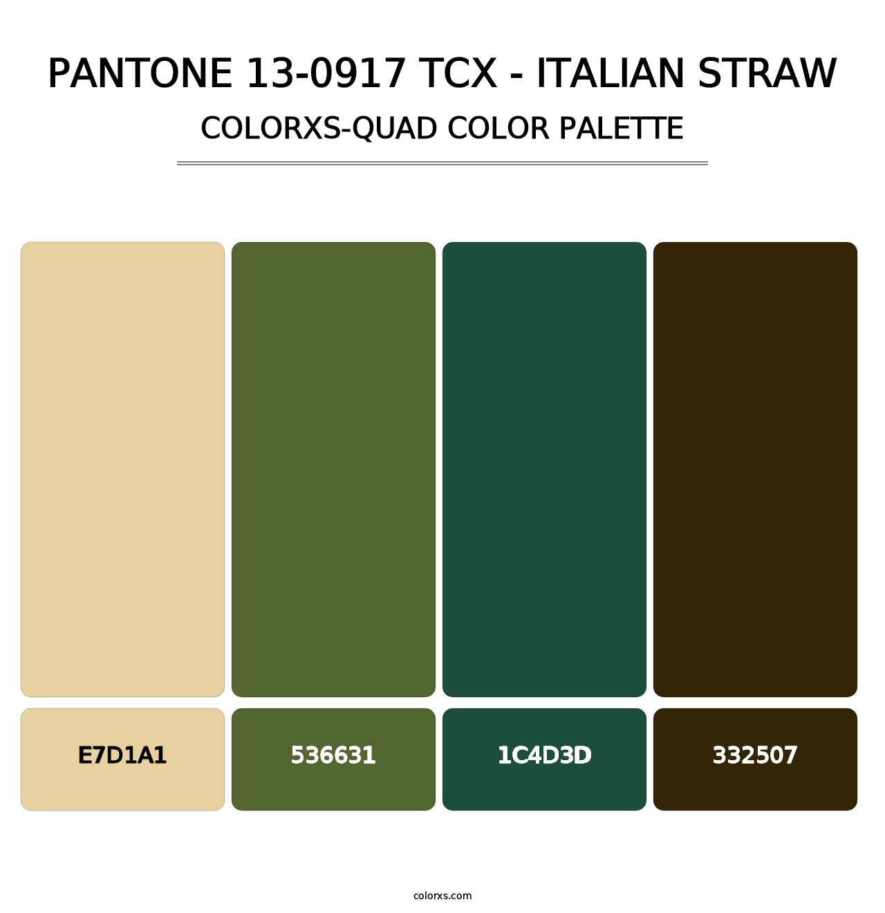 PANTONE 13-0917 TCX - Italian Straw - Colorxs Quad Palette