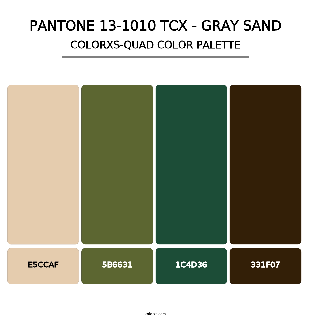 PANTONE 13-1010 TCX - Gray Sand - Colorxs Quad Palette